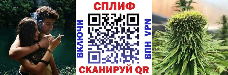 Виды наркотиков купить Артёмовск Codein  ГАШИШ  МЕТАМФЕТАМИН  Конопля  СК 