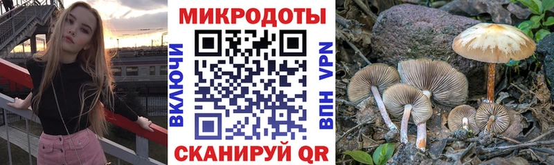 купить  цена  Артёмовск  Псилоцибиновые грибы Magic Shrooms 